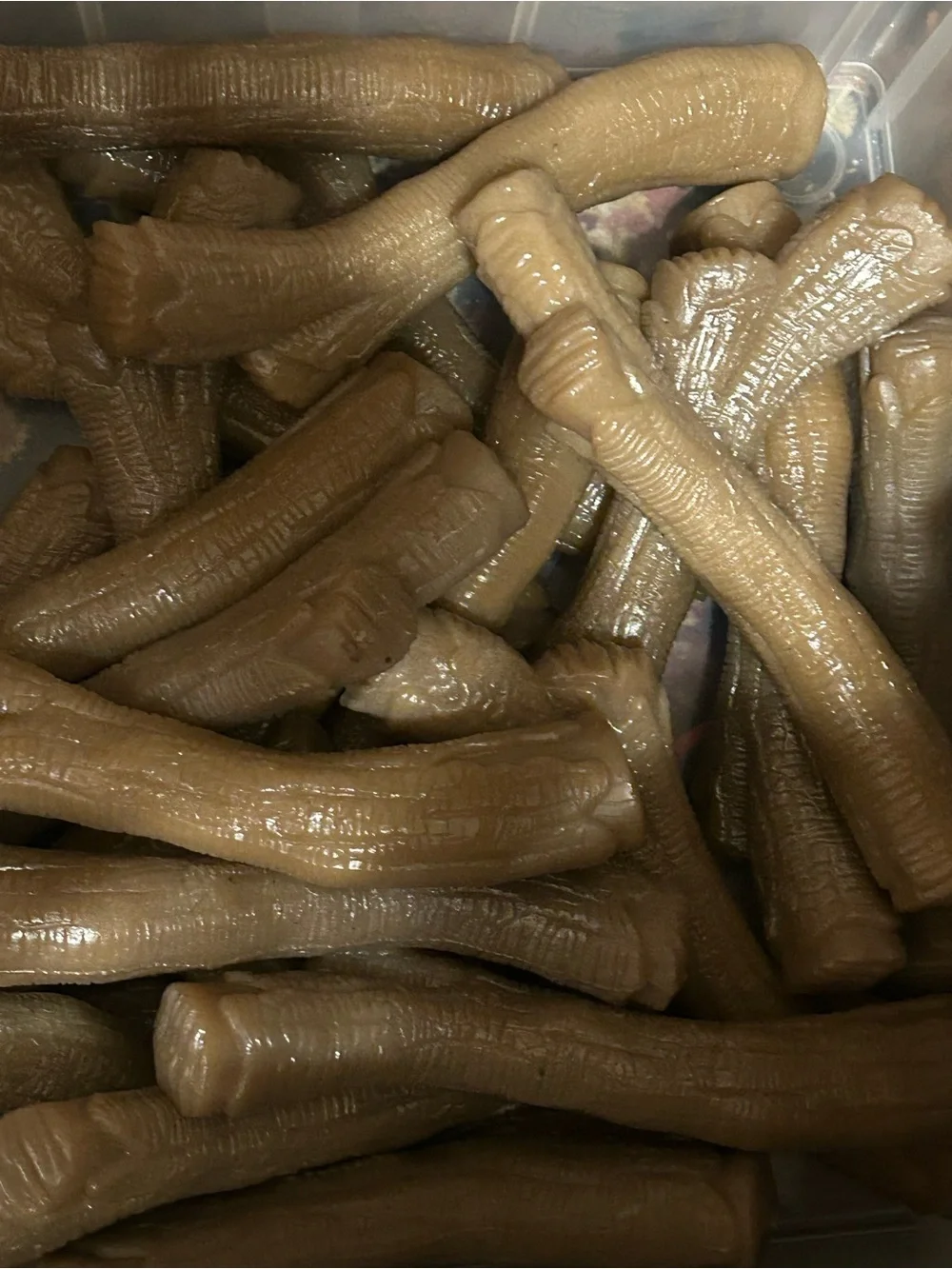 Nylabone 4-pack for dogs